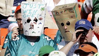 dolphins fans