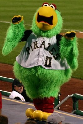 Pirateparrot_display_image