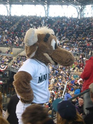 Marinermoose_display_image