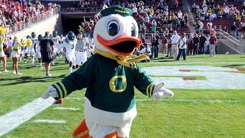 Oregonduck_display_image
