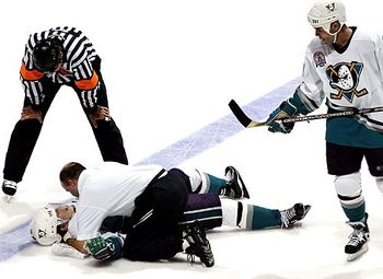 Nhl05_display_image