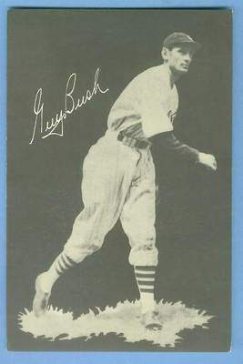 Guybush_display_image