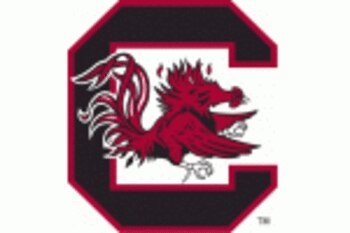South_carolina_logo_display_image