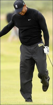 Tiger_02_280x553_49334a_display_image