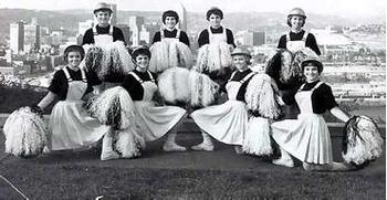 Steelerscheerleaders_display_image
