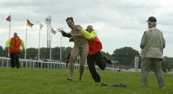 2095688_display_image