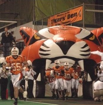 Tigeridahostatebengalsfootballteamtigerden_display_image