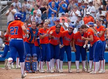 Gators_display_image