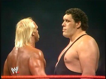 Hulkhoganandrethegiant6_display_image