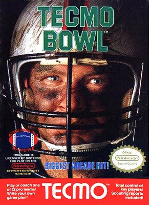 Tecmo_display_image