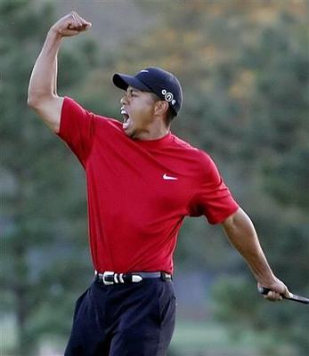 Tigerwoods_display_image