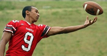 Tai-lerjones_display_image