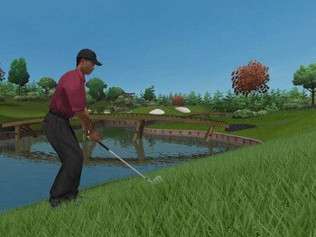 Tiger_woods_pga_tour_2005_profilelarge_display_image