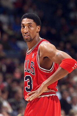 Pippen_display_image