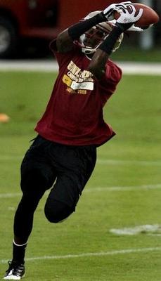 Karloswilliams_display_image