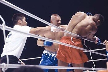 Liddell-overeem_display_image