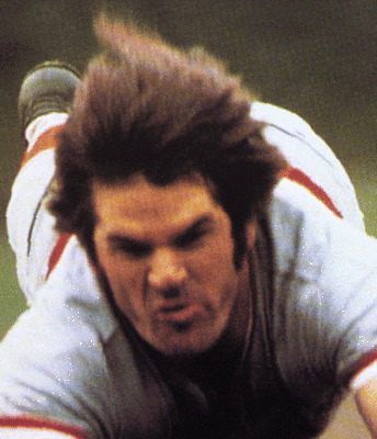 Peterose_display_image