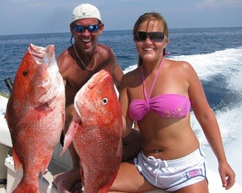 090626_redsnapper_display_image
