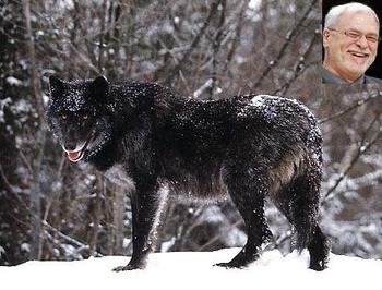 Timber_wolf_display_image