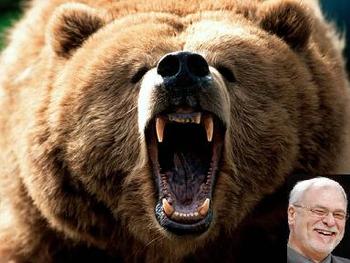 Feeling_grizzly-1600x1200_display_image