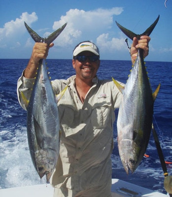 2yellowfintunapic_display_image