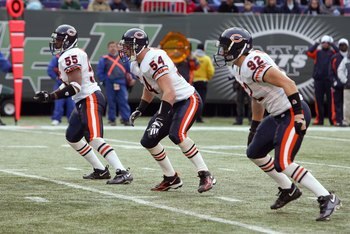 72630649_display_image