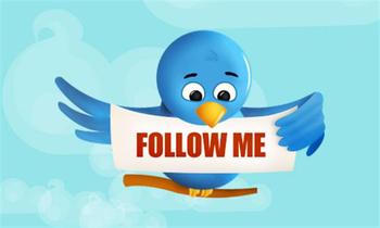 Twitter-bird-pic_display_image