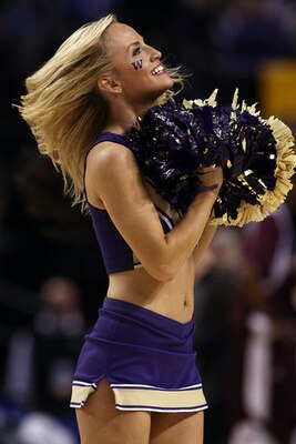 Huskies_display_image