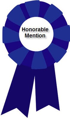 Honorablemention_display_image
