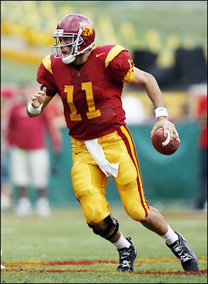 Mattleinart_display_image