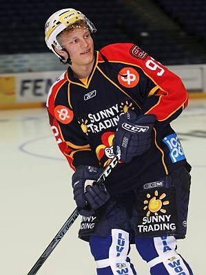 Pulkkinen_display_image