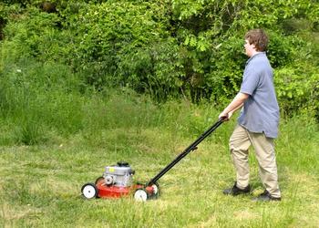 Lawnmower_display_image