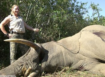 Elephant_001_display_image