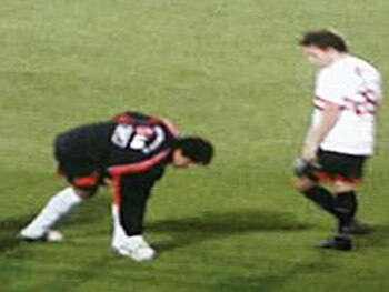 Bosco_display_image