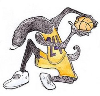 Kobe_display_image