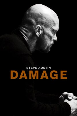 Damage_display_image