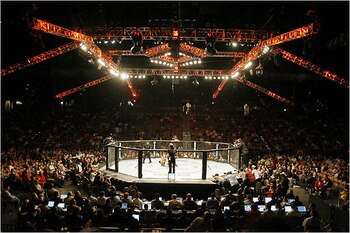 Fightingslide1_display_image