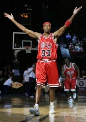 Pippen_display_image