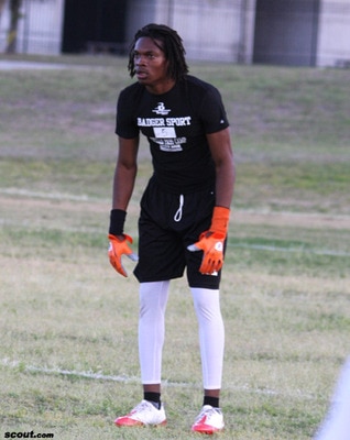 Demardorsey_display_image
