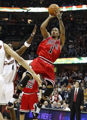 Drose_display_image