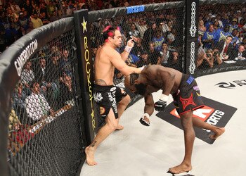 Kimbo_display_image