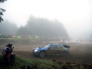 Petter_display_image