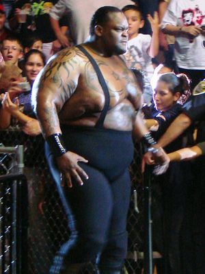 wrestler viscera