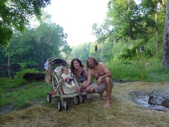 Swamp_display_image