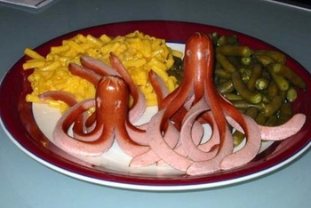 Calamari Animal