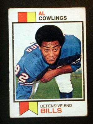 Alcowlings_display_image