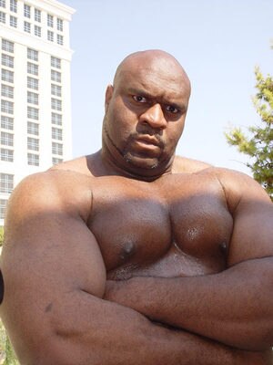 Bob-sapp-2_display_image