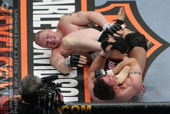 8293-mirlesnar173ufc81_display_image