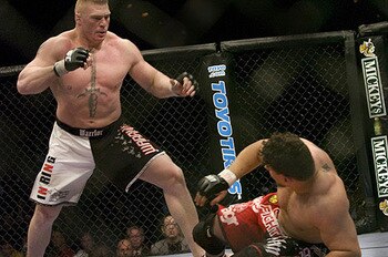 Mir_lesnar1205ufc100_display_image