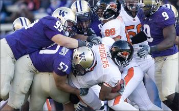 Huskies_display_image